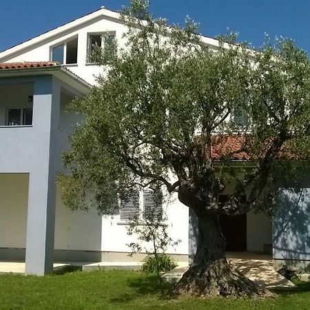 פאז'אנה Apartments Villa Ulivo - Apartment Sol מראה חיצוני תמונה