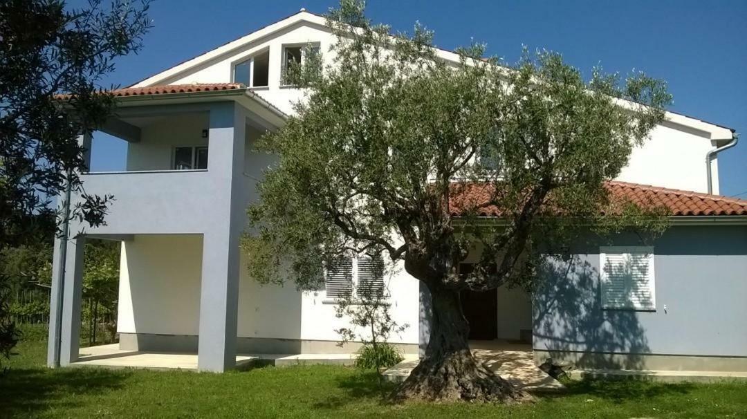 פאז'אנה Apartments Villa Ulivo - Apartment Sol מראה חיצוני תמונה